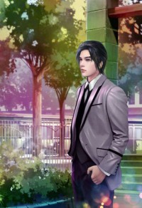 赘婿无双