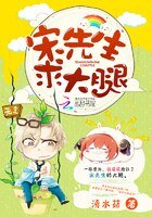 宋先生,求大腿
