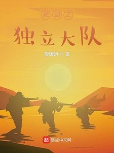 亮劍之獨立大隊