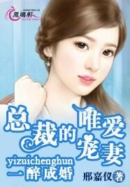 一醉成婚:總裁的唯愛寵妻